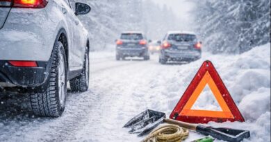Ожеледиця та заметілі: головні помилки водіїв узимку і як їх уникнути