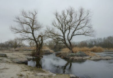 Якою буде весна 2026 в Україні: погода, прогнози та чого очікувати